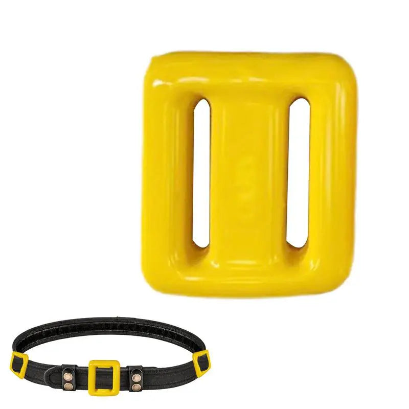 0.5kg D Ring Lead  Diving Weights and Belt