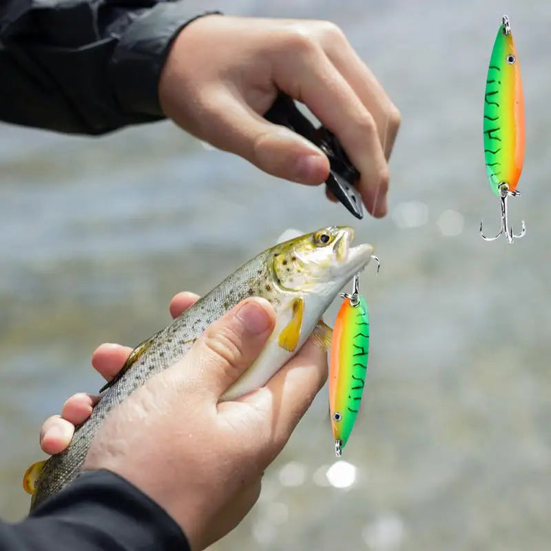 Saltwater Realistic  Bass Fishing Lure Set